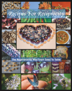 Recipes For Reciprocity: The Regenerative Way From Seed To Table (Ebook)