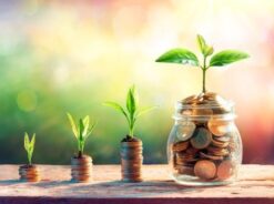 One time donation to support my seed saving, refugia and ecological regeneration works.